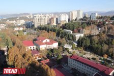 Путешествие в Сочи - День города, уникальная природа и курорт, самый длинный город Европы (ФОТО, часть 1)