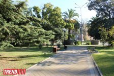Путешествие в Сочи - День города, уникальная природа и курорт, самый длинный город Европы (ФОТО, часть 1)