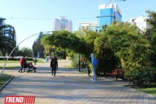 Путешествие в Сочи - День города, уникальная природа и курорт, самый длинный город Европы (ФОТО, часть 1)