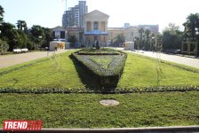 Путешествие в Сочи - День города, уникальная природа и курорт, самый длинный город Европы (ФОТО, часть 1)