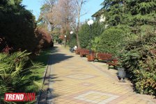 Путешествие в Сочи - День города, уникальная природа и курорт, самый длинный город Европы (ФОТО, часть 1)
