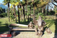 Путешествие в Сочи - День города, уникальная природа и курорт, самый длинный город Европы (ФОТО, часть 1)