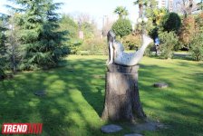 Путешествие в Сочи - День города, уникальная природа и курорт, самый длинный город Европы (ФОТО, часть 1)