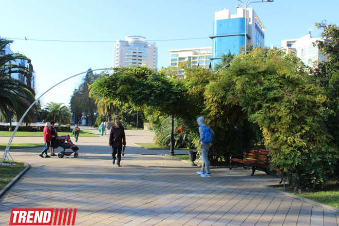 Путешествие в Сочи - День города, уникальная природа и курорт, самый длинный город Европы (ФОТО, часть 1)