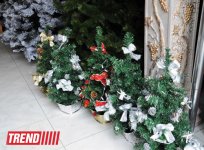 Баку в преддверии Нового 2014 года (ФОТО)