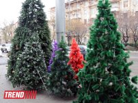 Баку в преддверии Нового 2014 года (ФОТО)
