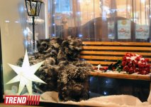 Баку в преддверии Нового 2014 года (ФОТО)