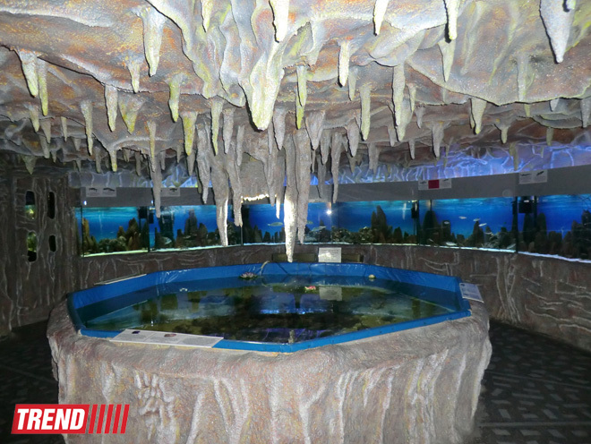 Поездка в Крым - мир в миниатюре (ФОТО, часть 2)