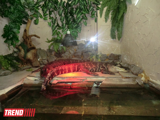 Поездка в Крым - мир в миниатюре (ФОТО, часть 2)