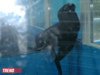 Поездка в Крым - мир в миниатюре (ФОТО, часть 2)