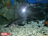 Поездка в Крым - мир в миниатюре (ФОТО, часть 2)