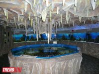 Поездка в Крым - мир в миниатюре (ФОТО, часть 2)