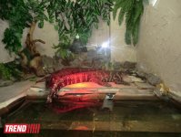 Поездка в Крым - мир в миниатюре (ФОТО, часть 2)
