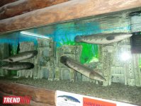 Поездка в Крым - мир в миниатюре (ФОТО, часть 2)