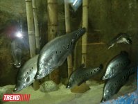 Поездка в Крым - мир в миниатюре (ФОТО, часть 2)