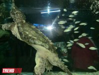 Поездка в Крым - мир в миниатюре (ФОТО, часть 2)