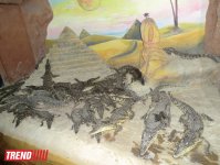 Поездка в Крым - мир в миниатюре (ФОТО, часть 2)