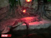 Поездка в Крым - мир в миниатюре (ФОТО, часть 2)