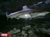 Поездка в Крым - мир в миниатюре (ФОТО, часть 2)