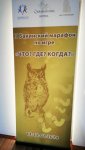 Определились победители первого Бакинского марафона по "Что? Где? Когда?" (фото)