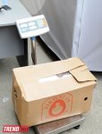 В Баку стартовала массовая акция в рамках проекта "Заменим каждый лист бумаги на листья" (ФОТО)