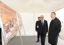 Президент Азербайджана принял участие в открытии завода по переработке меди в Сумгайыте (ФОТО)