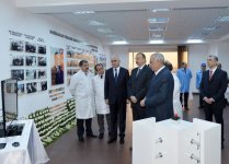 Президент Ильхам Алиев: Сегодня частный сектор составляет основную часть экономики Азербайджана (ФОТО)