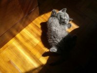 В Баку названы победители фотоконкурса "Весенние сюжеты" (ФОТО)