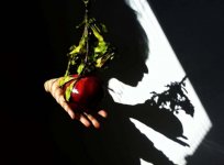 В Баку названы победители фотоконкурса "Весенние сюжеты" (ФОТО)