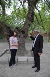 В Азербайджане реализуется проект "Образцовое село" (ФОТО)