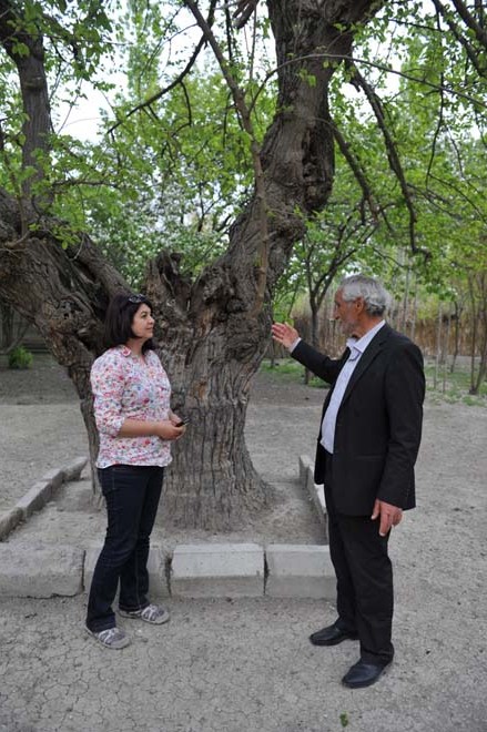 В Азербайджане реализуется проект "Образцовое село" (ФОТО)