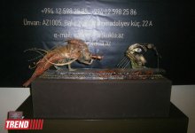 "Королевство" кукол Лады Репиной: работы, похожие на ноты (ФОТО)