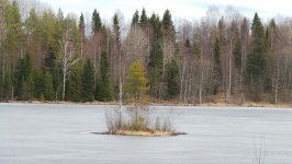 Рамиль Зиядов посвятил покорение Полярного круга Национальному герою Азербайджана Альберту Агарунову (ФОТО)