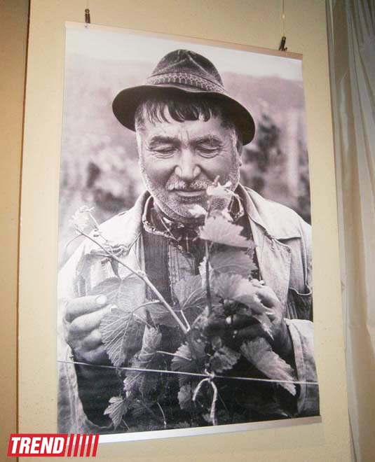 Поэма между людьми и пейзажами - Михай Потырнике в Баку, молдавский фотохудожник (ФОТО)