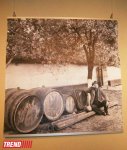 Поэма между людьми и пейзажами - Михай Потырнике в Баку, молдавский фотохудожник (ФОТО)