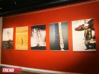 Поэма между людьми и пейзажами - Михай Потырнике в Баку, молдавский фотохудожник (ФОТО)