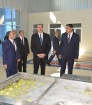 Президент Ильхам Алиев принял участие в открытии Агдашского завода по
переработке фруктов (ФОТО)
