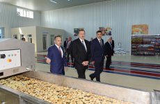 Президент Ильхам Алиев принял участие в открытии Агдашского завода по
переработке фруктов (ФОТО)