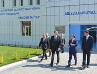 Президент Ильхам Алиев принял участие в открытии Агдашского завода по
переработке фруктов (ФОТО)