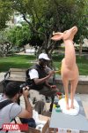 В Баку открылся Международный фестиваль искусств “Qız Qalası” (ФОТО)