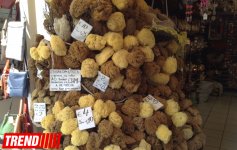 Путешествие на Родос - жемчужина Средиземноморья, остров роз и рыцарей (ФОТО)