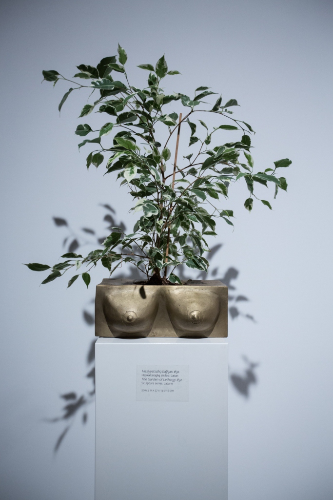 Afghan artist Reza Hazare’s sole exhibition entitled Anesthesia, opens at YAY Gallery