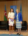Первая леди Азербайджана Мехрибан Алиева присутствовала на показе балета "Тени Гобустана" в ЮНЕСКО (ФОТО)