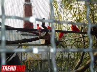Путешествие по одному из старейших зоопарков Европы (ФОТО)