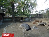 Путешествие по одному из старейших зоопарков Европы (ФОТО)
