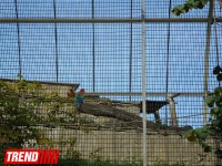 Путешествие по одному из старейших зоопарков Европы (ФОТО)