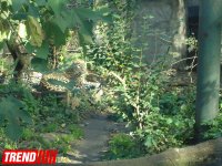 Путешествие по одному из старейших зоопарков Европы (ФОТО)