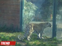 Путешествие по одному из старейших зоопарков Европы (ФОТО)