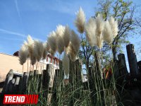Путешествие по одному из старейших зоопарков Европы (ФОТО)