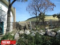 Путешествие по одному из старейших зоопарков Европы (ФОТО)